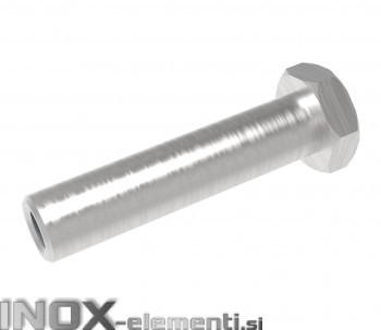 Inox Matica napenjalca M10x45 AISI316